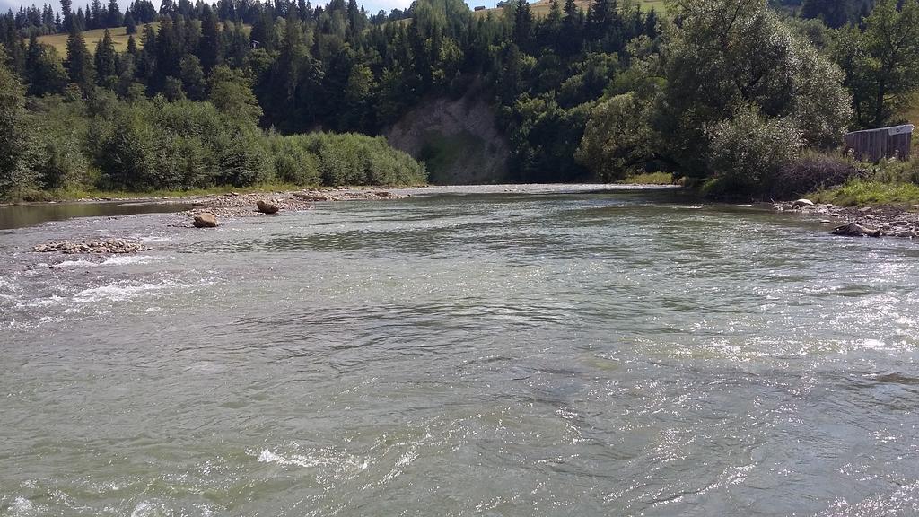 Pid Lisochkom Verkhovyna Εξωτερικό φωτογραφία